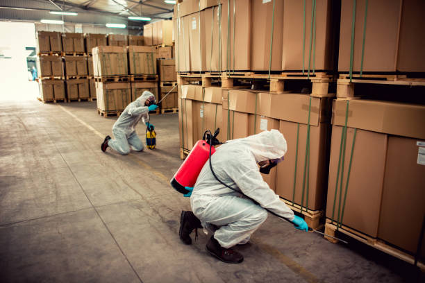 Best Best Pest Control Companies  in Village Of Four Seasons, MO