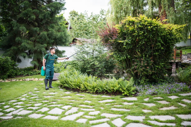 Best Local Pest Control Services  in Village Of Four Seasons, MO
